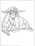 山羊 白描 素描 线描 国画