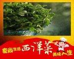 蔬菜 健康 食品 绿色 安全