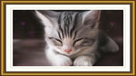 猫室内装饰画