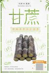 简约清新鲜食果蔗果蔬开业促销