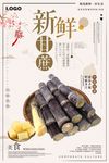清新风养生甘蔗美食美味海报