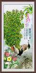 孔雀图