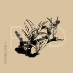 古茶树 新芽 嫩叶