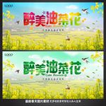 油菜花