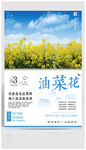 油菜花旅游海报