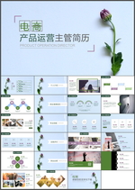 电商主管简历PPT