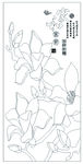 家和富贵玉兰