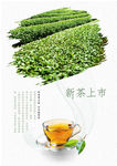 茶