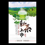 新茶上市