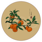 红柑