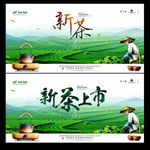 新茶