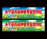 化肥 种子门头