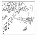 万年之寿 白描 素描 线描 国