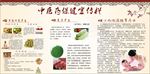 中医药保健宣传栏
