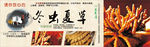 冬虫夏草 虫草 中国文化传统