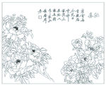 牡丹
