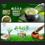 茶 茶叶 绿茶