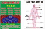 云南白药 藏红膏