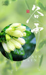 谷雨微信海报