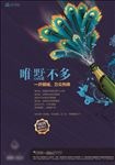 地产 开盘 香槟 孔雀