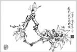 梨花线描 梨花白描 梨花素描