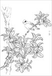 丁香花线描 丁香花白描 丁香花