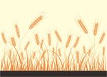小麦矢量图  硅藻泥图案