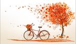 秋天枫叶自行车