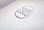 logo样机