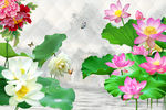 荷花背景墙