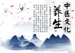 中医文化养生海报