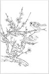 梅花线描 梅花白描 梅花素描