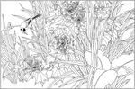 芙蓉花线描 芙蓉花白描 芙蓉花