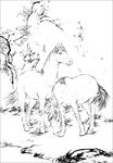 骏马线描 骏马白描 骏马素描