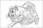 猫咪线描 猫咪白描 猫咪素描