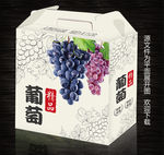 葡萄包装设计