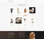 网页 banner web 网