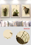 欧式复古植物鸟类装饰画
