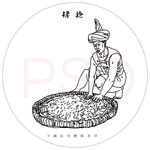 普洱茶文化 揉捻