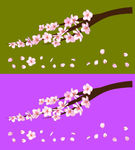 花瓣