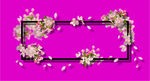 花瓣