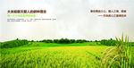 大米画册