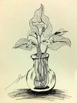 花绘插图