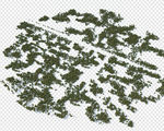 PSD园林植物