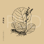 盘龙七