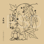 土贝母