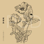 罂粟壳