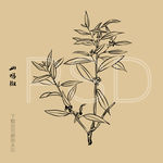 山鸡椒