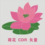 莲花