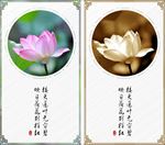 荷花艺术画